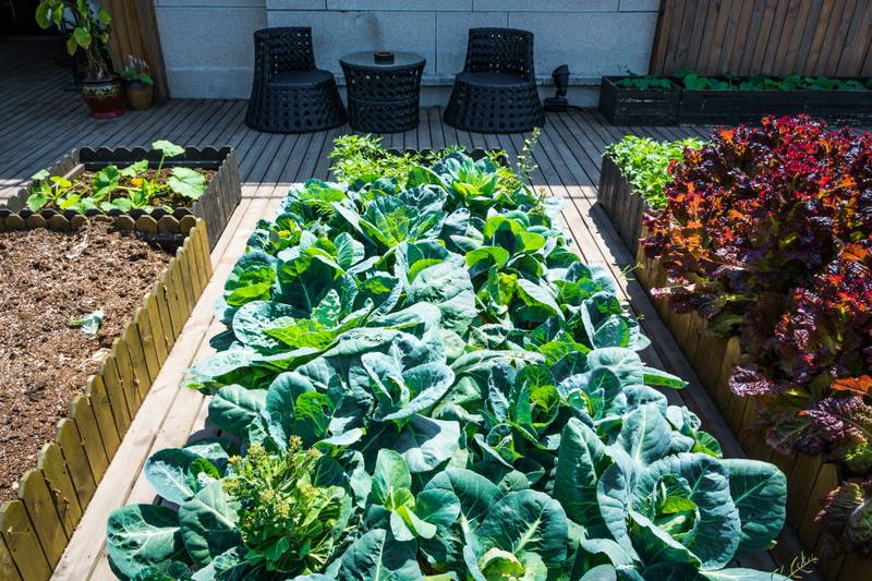 Planning Your Spring Garden: Tips for Getting Started Early