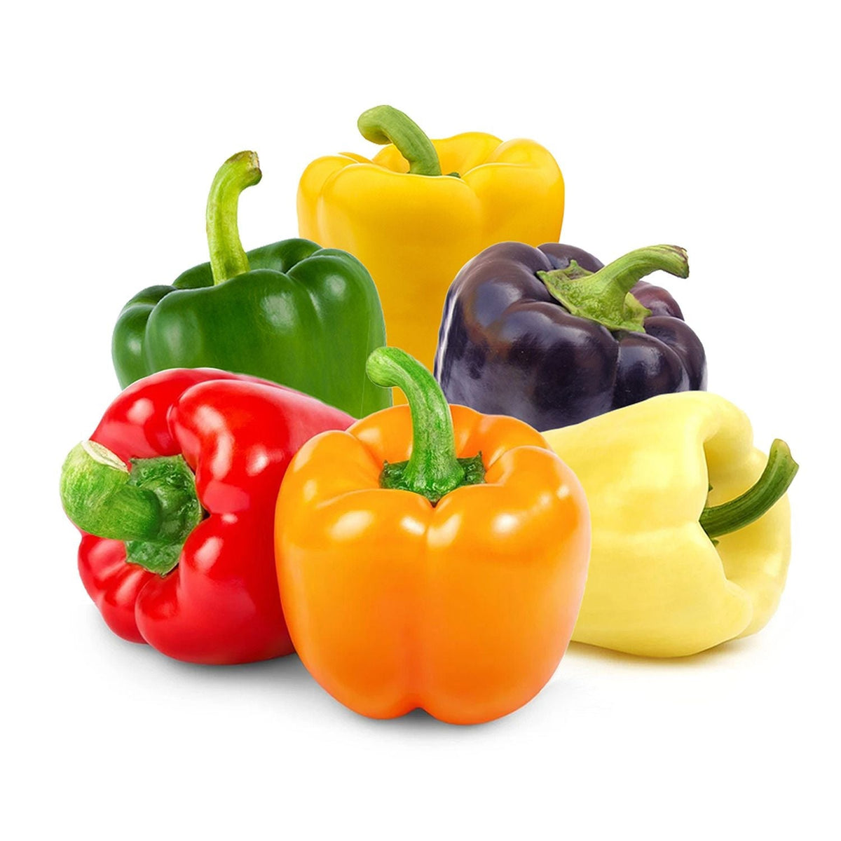 Buy Vegetable Seeds Online Capsicum Mix(B,W,R,G,Y,O) Seeds Vedonic