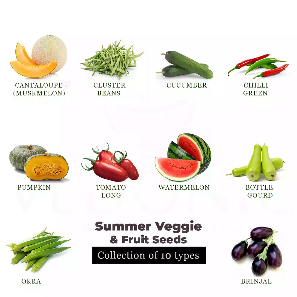 Summer Fruits & Vegetables Seeds