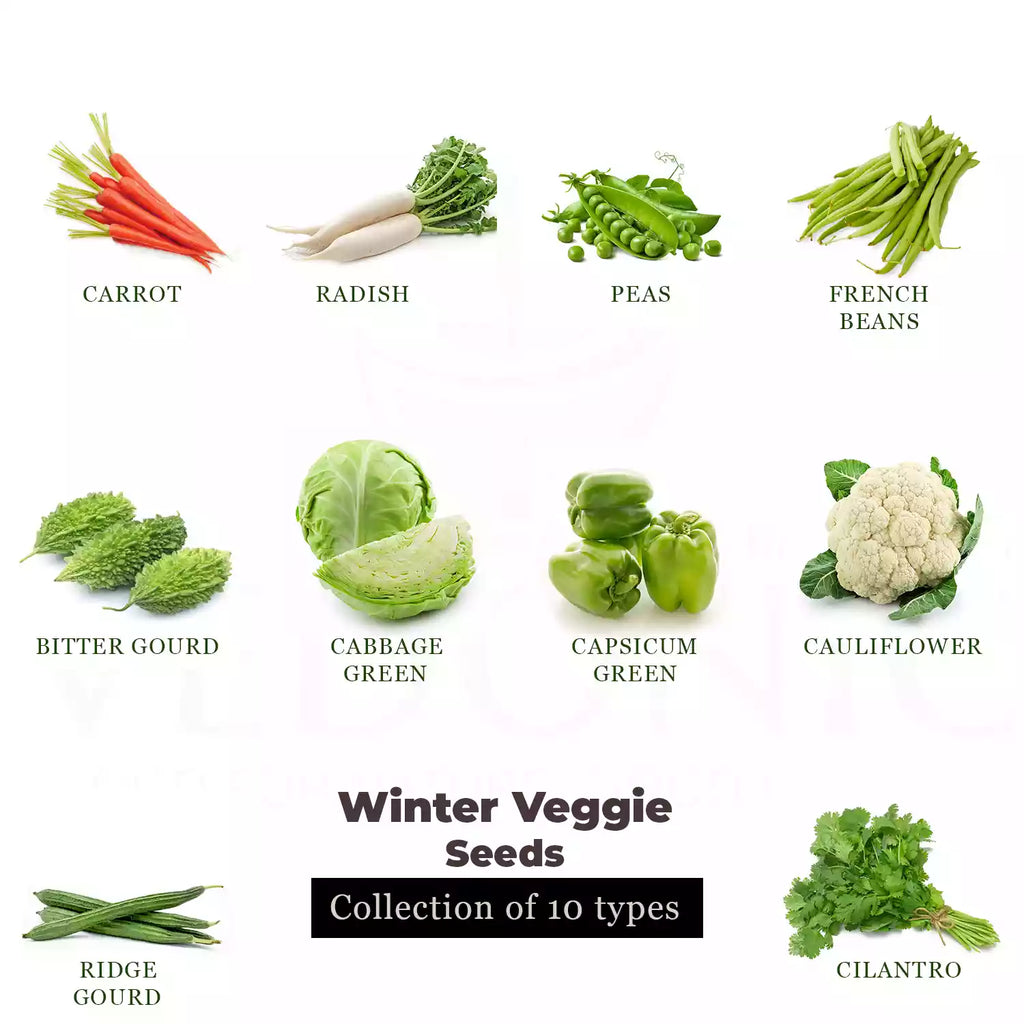 Winter Vegetables Seeds