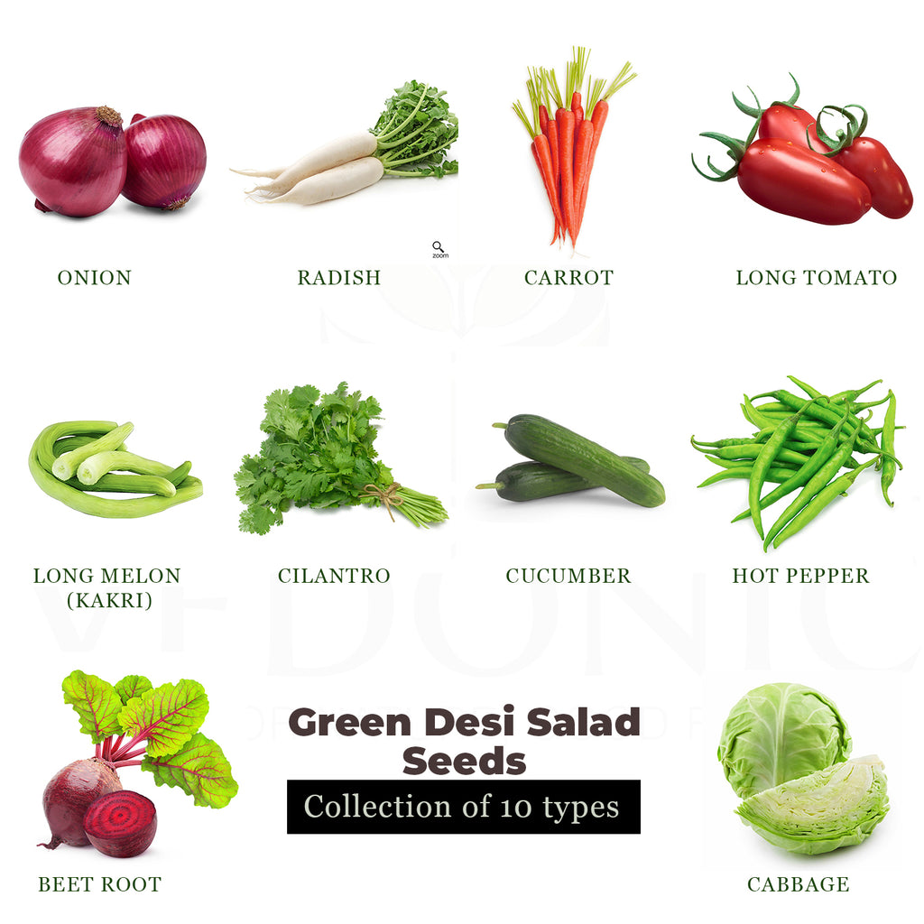 Green Salad Garden Seeds