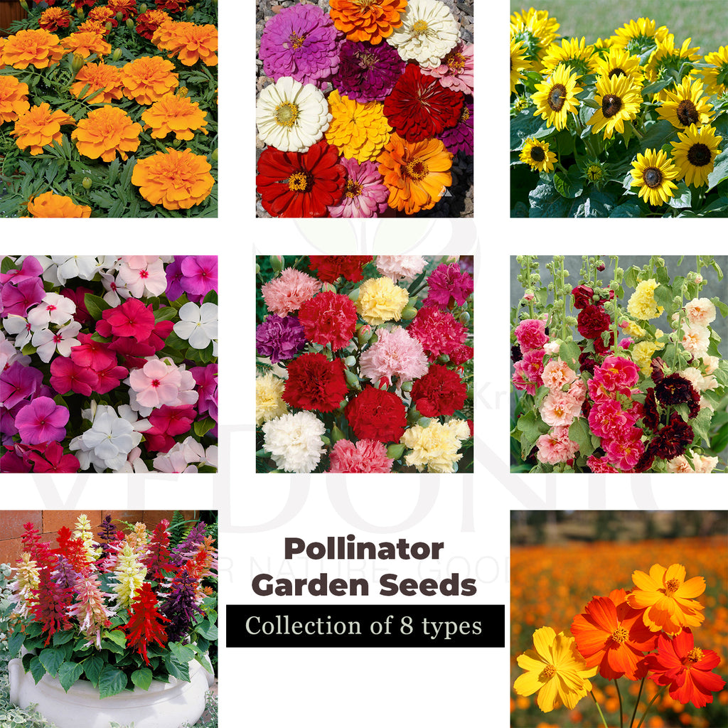 Pollinator Flower Garden Seeds