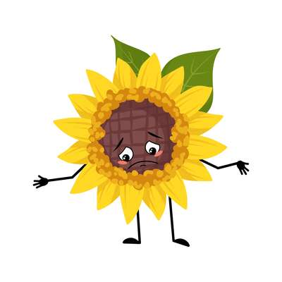 404 error - page not found sunflower