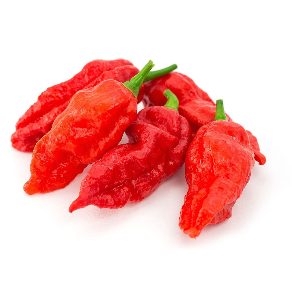 Hot Pepper Chilli Chilly  Mirchi Garden Supply Heirloom Organic Seeds Vegetable Seeds Bhoot Jalokia Jolokia Ghost Peppr