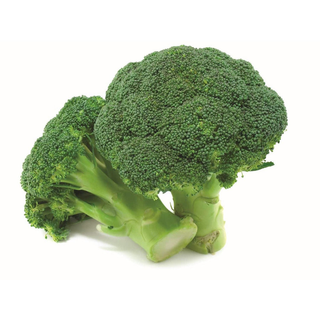 Broccoli Garden Supply Heirloom Organic Seeds Vegetable Seeds