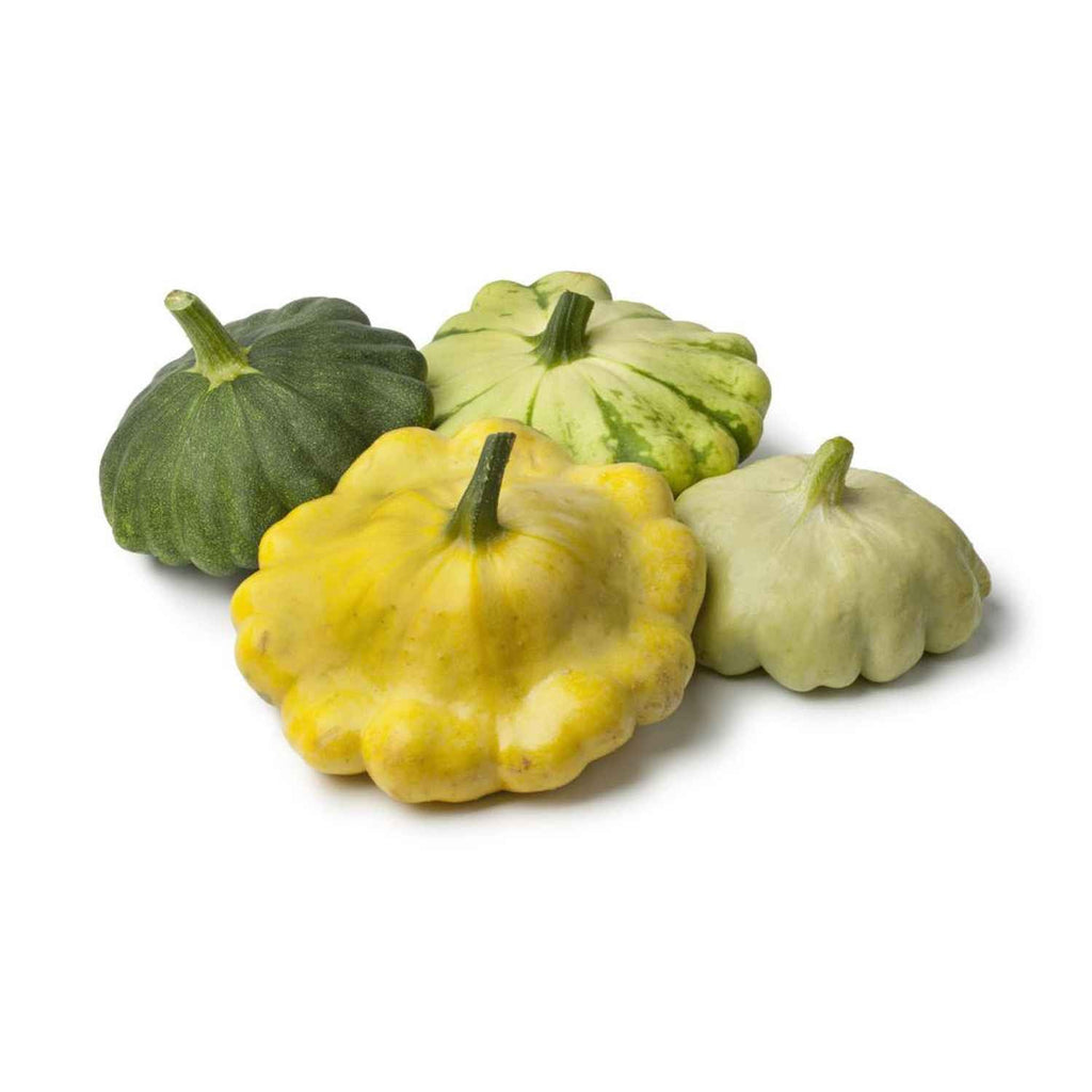 Gourd Squash Zucchini Garden Supply Heirloom Organic Seeds Vegetable Seeds