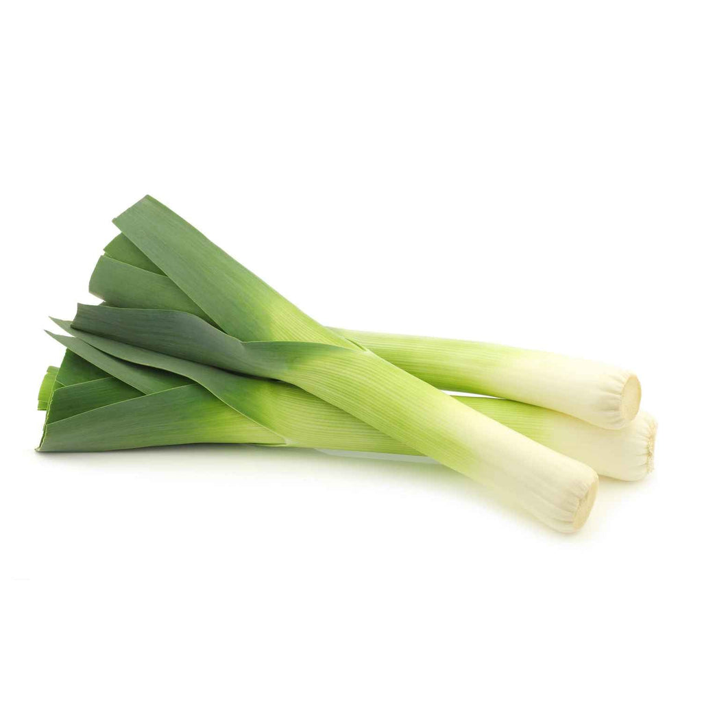 Leek Veggies Garden Supply Heirloom Organic Seeds Vegetable Seeds