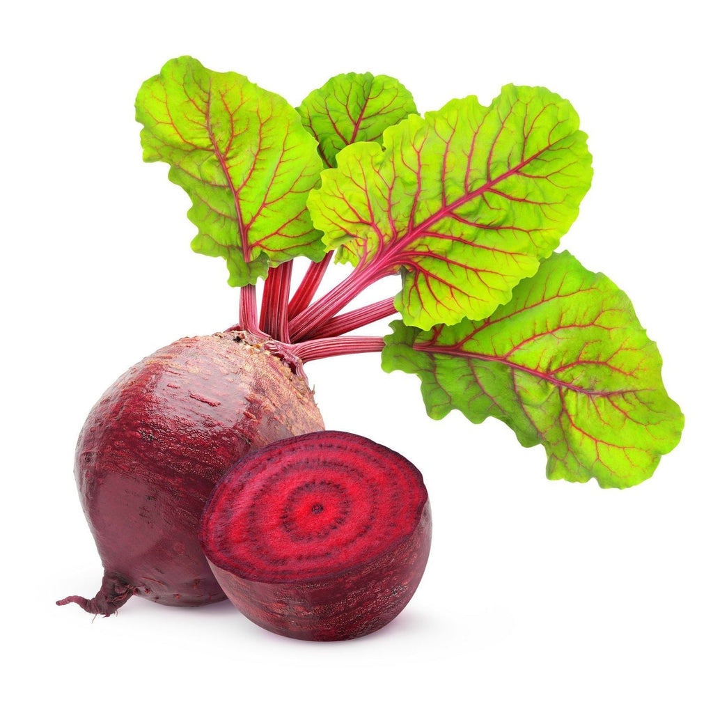 Beet Root Chukandar Chukander Garden Supply Heirloom Organic Seeds Vegetable Seeds