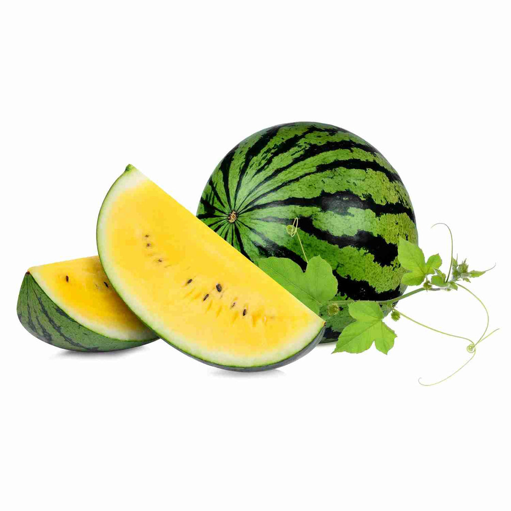 Water Melon Hybrid Fruit Seeds Garden Supply Heirloom Organic Seeds