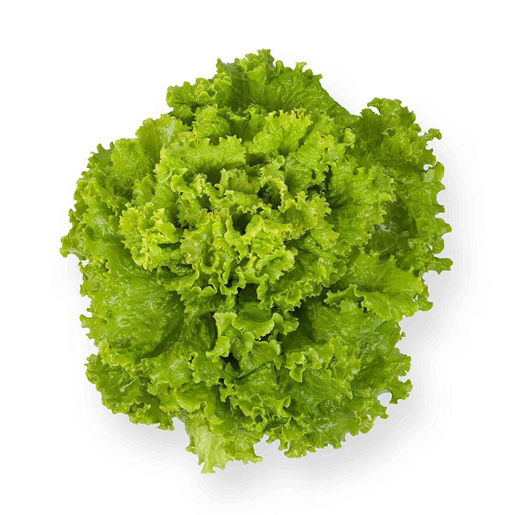 Lettuce Salad Salad Leaves Green Salad Garden Supply Heirloom Organic Seeds Vegetable Seeds