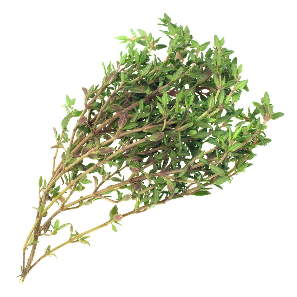 Herbs Garden Supply Heirloom Organic Seeds Herbs Seeds