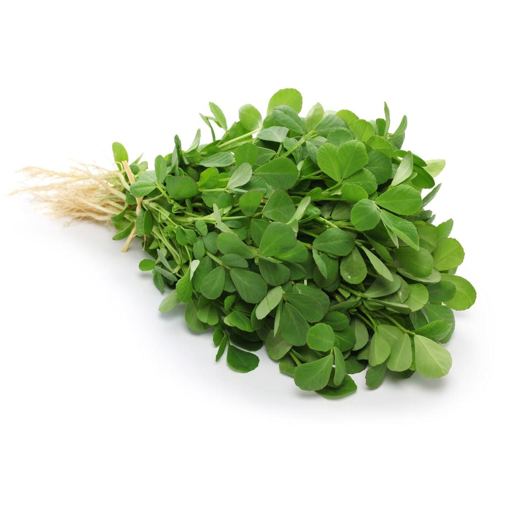 Fenugreek Methi Kasoori Methi Garden Supply Heirloom Herb Organic Seeds Vegetable Seeds