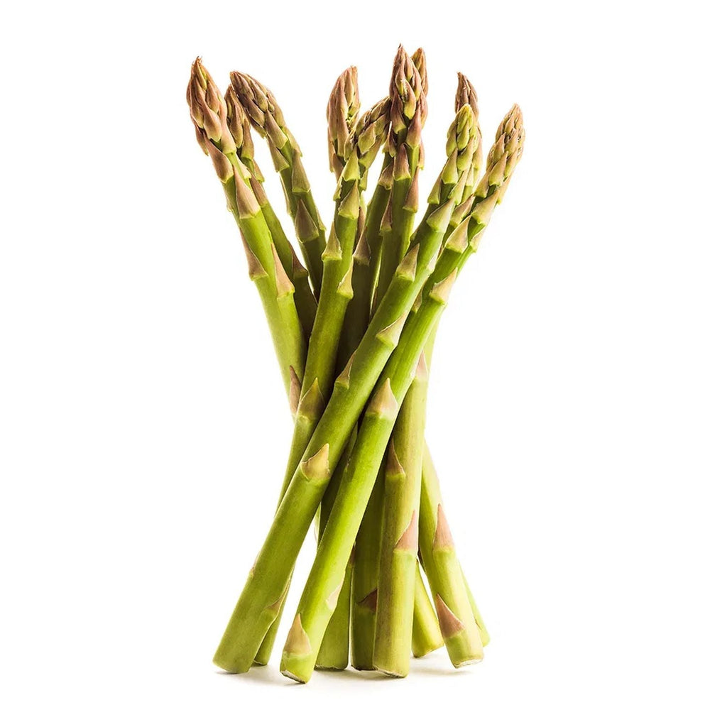 Asparagus Seeds, Garden Supply, Heirloom, Organic, Seeds, Vegetable Seeds