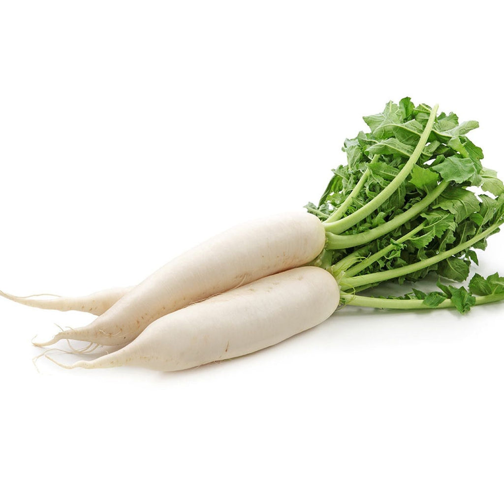 Radish Mooli Muli Garden Supply Heirloom Organic Seeds Vegetable Seeds