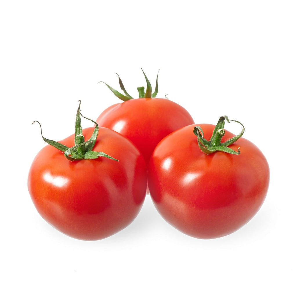 Garden Supply Heirloom Organic Seeds Hybrid Tomato Vegetable Seeds