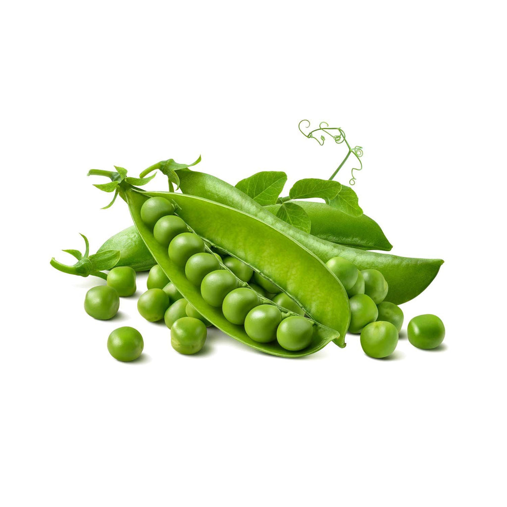 Pisum Sativum Peas Beans Garden Supply Heirloom Organic Seeds Vegetable Seeds
