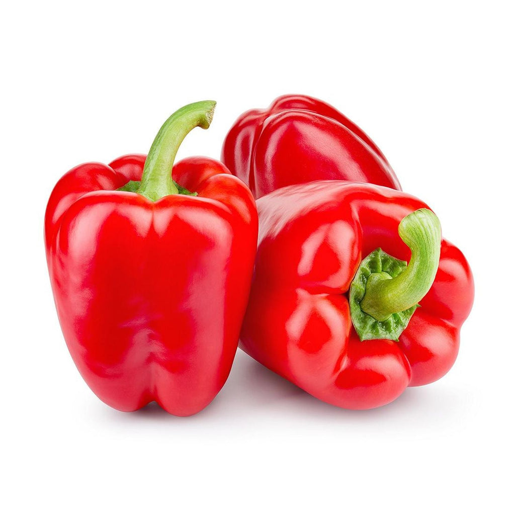 Bell Pepper Capsicum Garden Supply Heirloom Organic Seeds Shimla Simla Mirch Vegetable Seeds