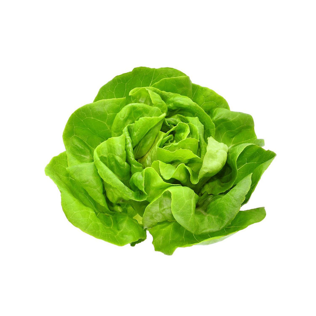 Lettuce Salad Salad Leaves Green Salad Garden Supply Heirloom Organic Seeds Vegetable Seeds