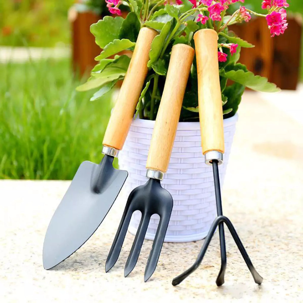 Garden Hand Tools Set (3Pcs)
