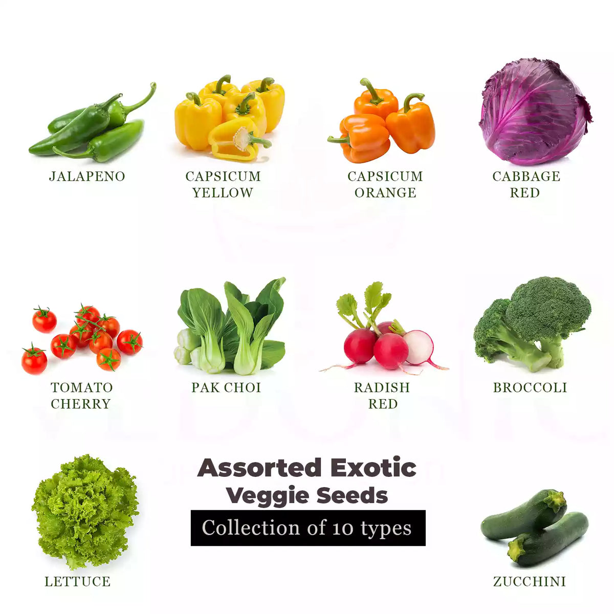 Buy Exotic Vegetables Seeds Online Garden Supply Vedonic