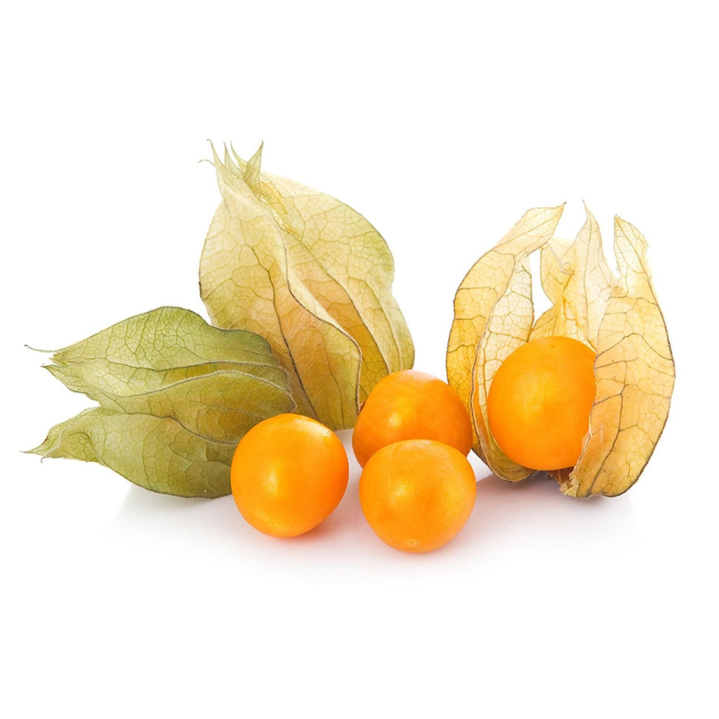 Buy Garden Supply Online Cape Gooseberry Seeds Fruit Seeds Vedonic