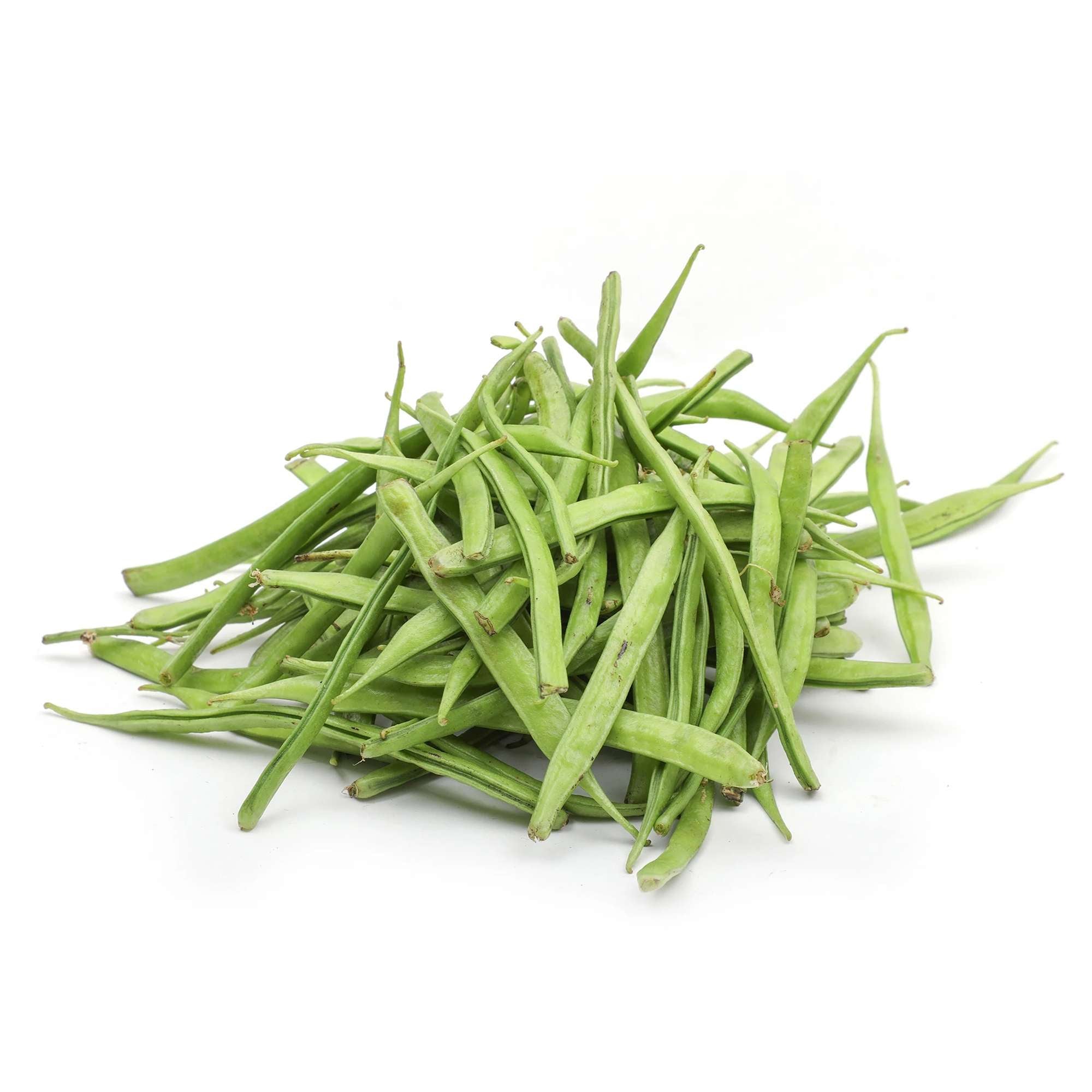 guar plant seed Buy Seeds Online