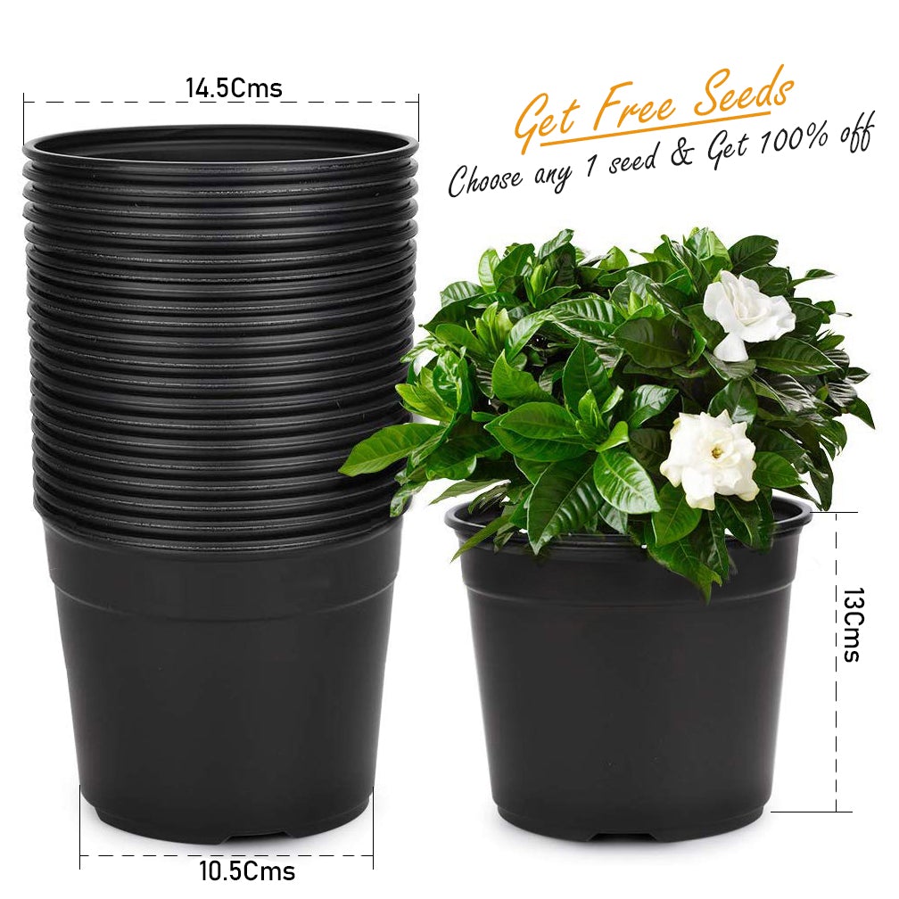 Black Nursery Flower Pots 14.5 Cms 6 Inch