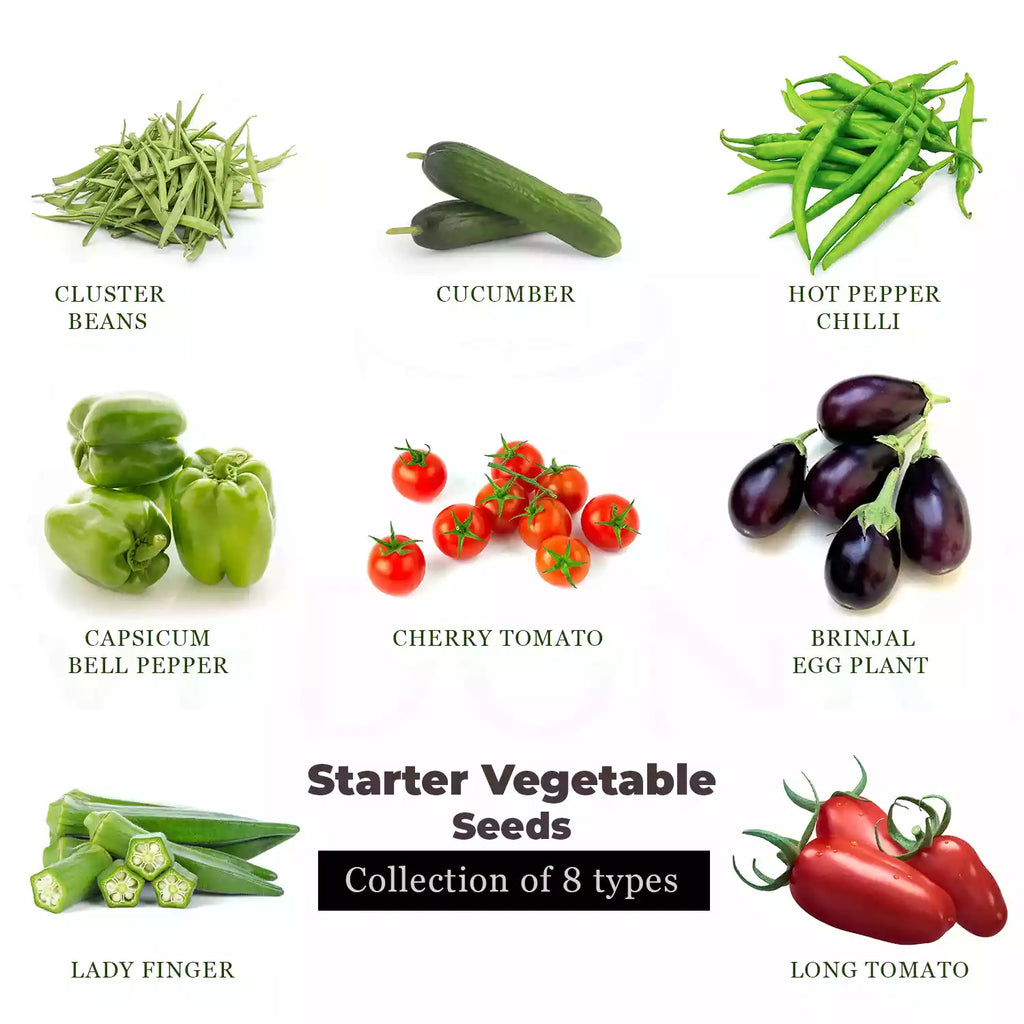 Starter Vegetables Seeds - 8 Types