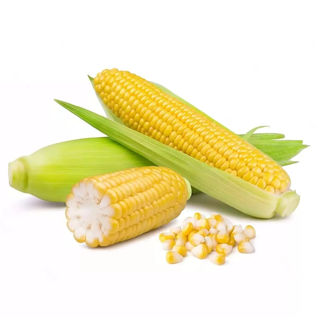 Sweet Corn Seeds