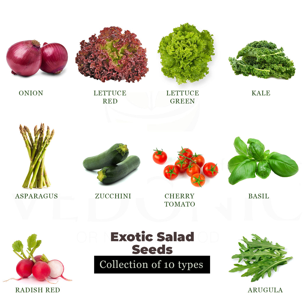Exotic Salad Garden Seeds
