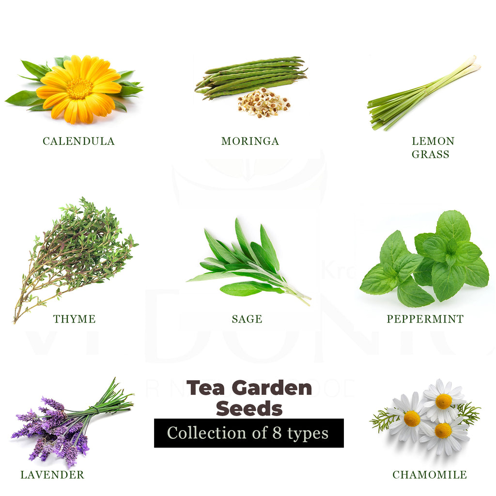 Tea Garden Seeds